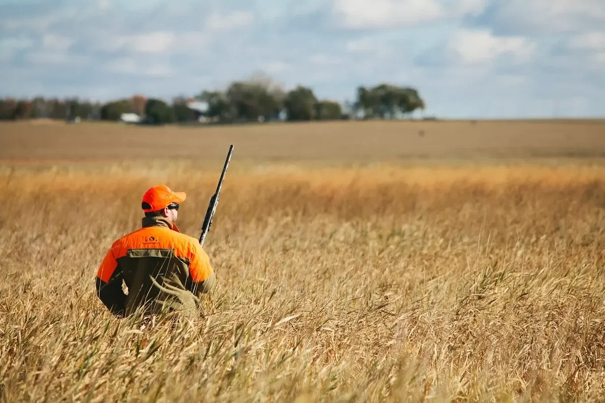Private Pheasant Hunting Price by Group Guided Trip with Field Included